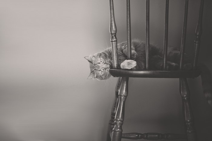 Orange cat lying on a wooden rocking chair