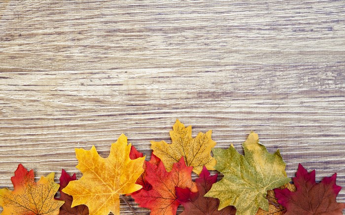 Autumn Maple Leaves on Wooden Background