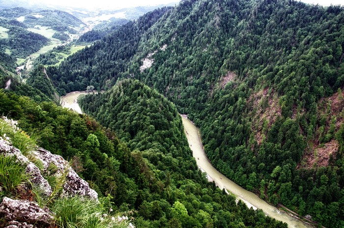 River flowing through forested mountains in Kroscienko Nad Dunajcem, Poland