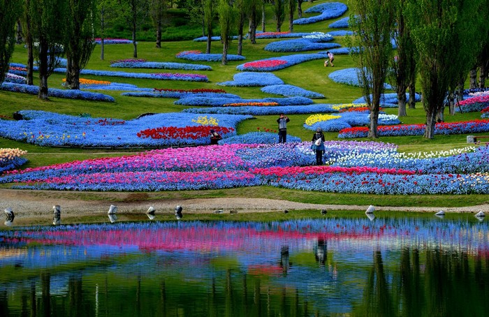 Flower fields and pond in Japan