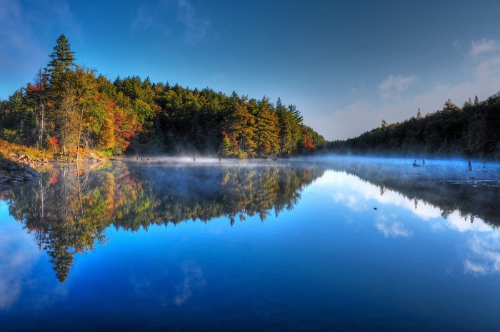 Autumn forest reflected in a misty lake