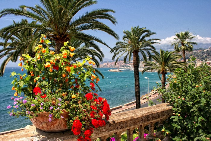 Menton, France Coastline with Palm Trees and Flowers