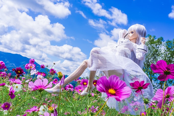 Doll in a Cosmos Field Under a Blue Sky