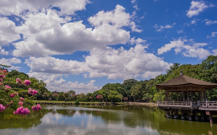 Pagoda by a lake with pink flowers and clouds