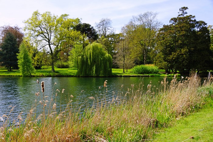 Park with a lake and trees in Peterboro, England