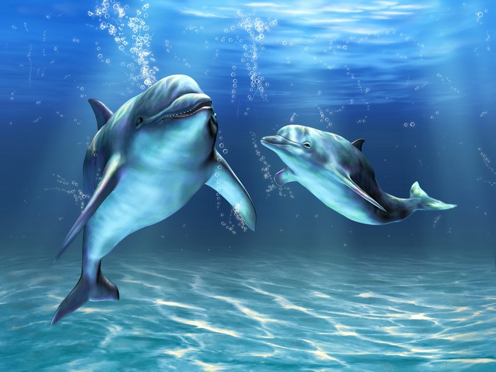 Two dolphins swimming underwater with bubbles