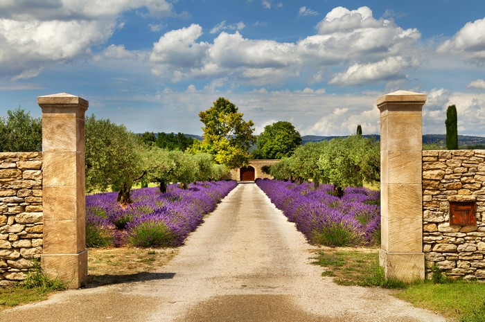 Stone pillars and lavender field in Provence, France
