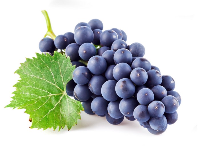 Bunch of dark purple grapes with a green leaf