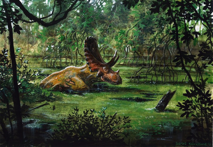 Judiceratops dinosaur in a swampy forest