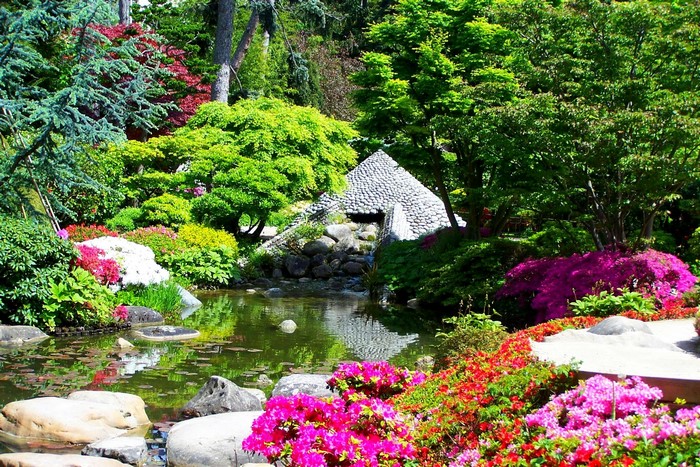 Albert-Kahn Japanese Gardens Pond with Flowers and Stone Structure