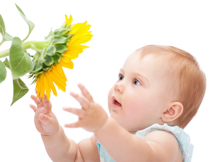 Baby reaching for a sunflower