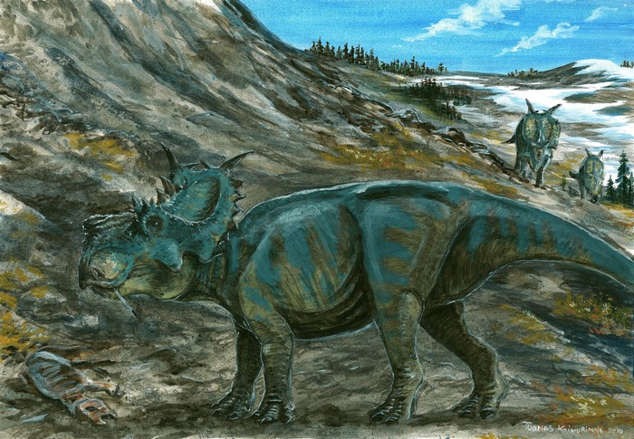 Styracosaurus dinosaurs in a prehistoric landscape
