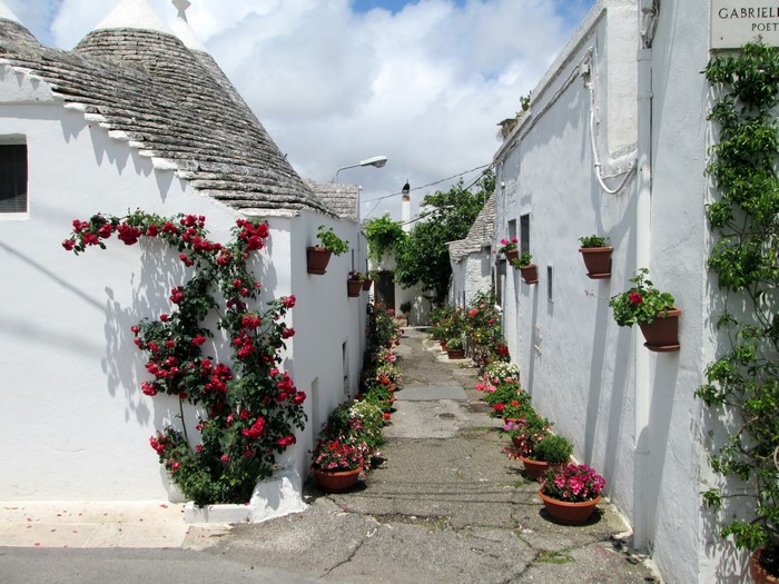 Alberobello, Italy street with Trulli houses and flowers