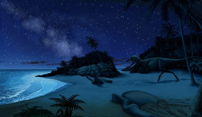 Dinosaurs and turtles on a beach at night