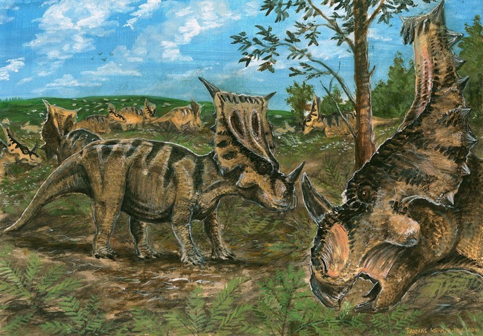Vagaceratops dinosaurs in a prehistoric landscape