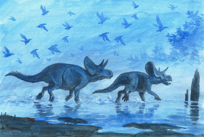 Two Triceratops dinosaurs walking through water with birds flying above