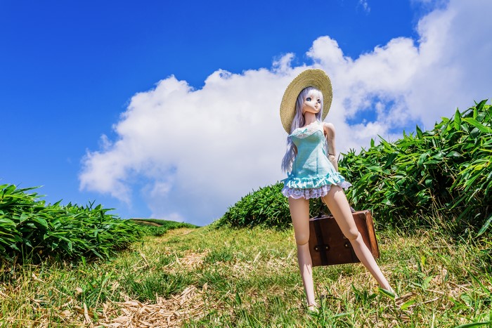 Doll with suitcase on a grassy hill under blue sky