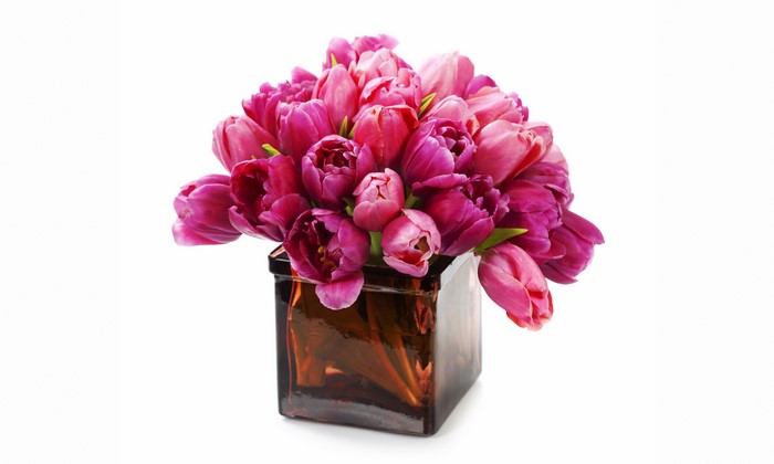 Pink Tulips in a Square Vase