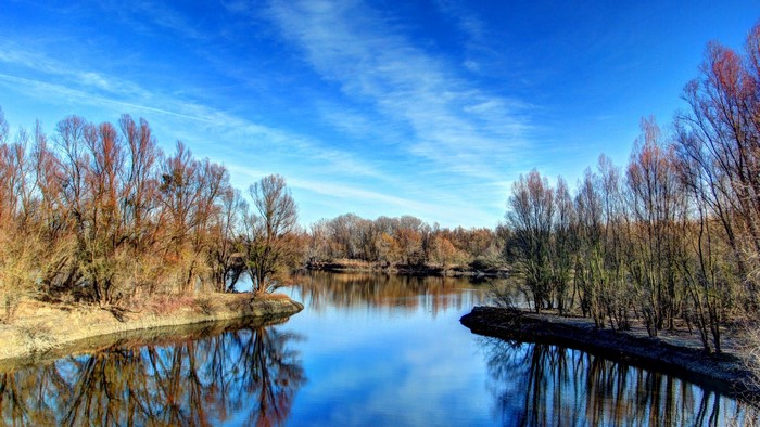 River reflecting trees under a blue sky