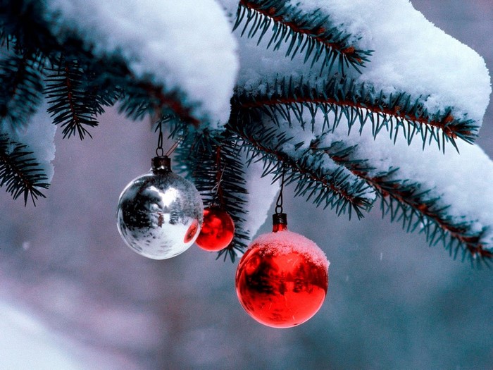 Christmas ornaments on a snowy pine branch