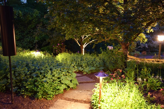 Illuminated garden path with trees and shrubs at night