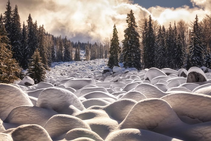Snow covered rocks and trees in winter