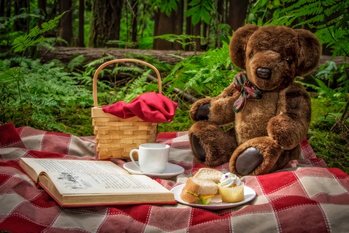 Teddy bear picnic with book and food