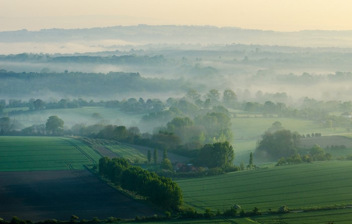 Misty rolling hills and agricultural fields at sunrise