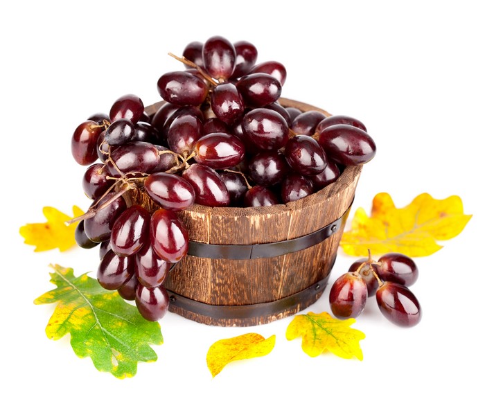 Grapes in a wooden bucket with autumn leaves