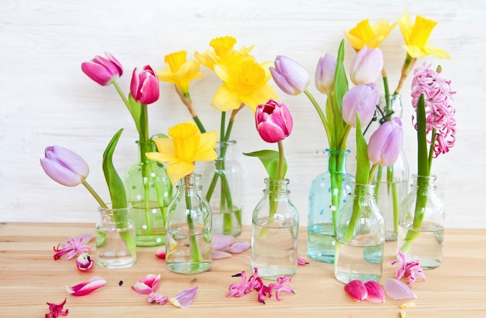 Spring flowers in glass vases
