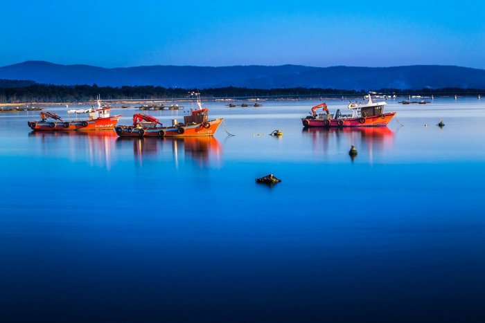 Orange fishing boats on calm blue water at dusk