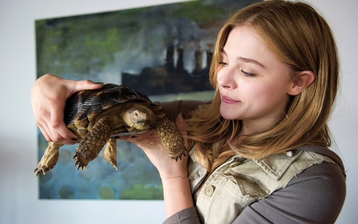 Chloe Grace Moretz holding a turtle