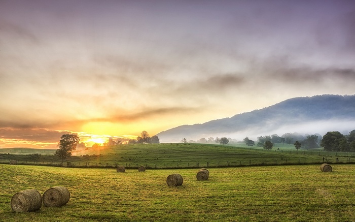 Hay bales in a field at sunrise with misty mountains