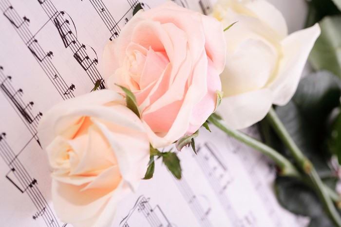 Pink and white roses on sheet music