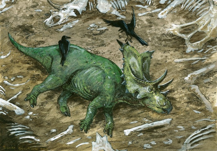 Mojoceratops dinosaur skeleton with crows by Tuomas Koivurinne