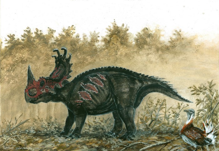 Sinoceratops dinosaur and bird in a forest