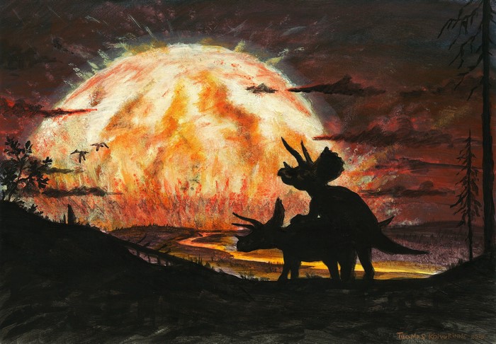 Triceratops dinosaurs silhouetted against a fiery sky