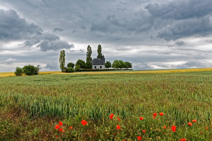 Mertloch Scenery Germany Fields Poppies Clouds