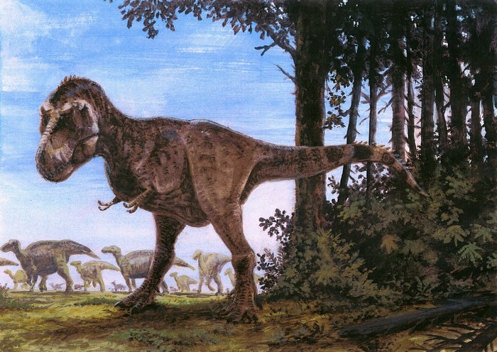 Tyrannosaurus Rex and Hadrosaurs in a prehistoric landscape
