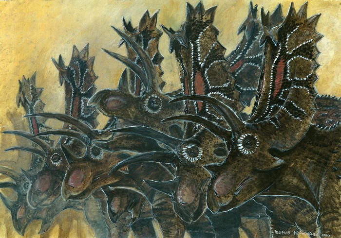 Pentaceratops Ancient animals Dinosaurs Pictorial art Tuomas Koivurinne