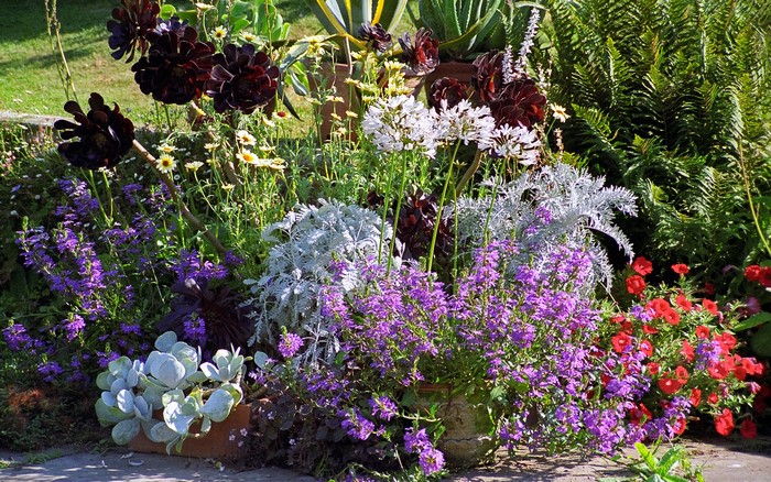 Great Dixter Gardens Sussex England Gardens Delphinium Petunia