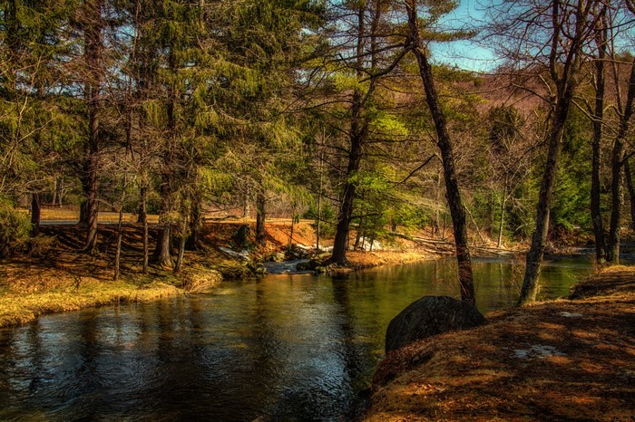 Seasons Autumn Rivers Trees