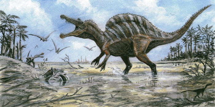 Spinosaurus in a prehistoric swamp with pterosaurs