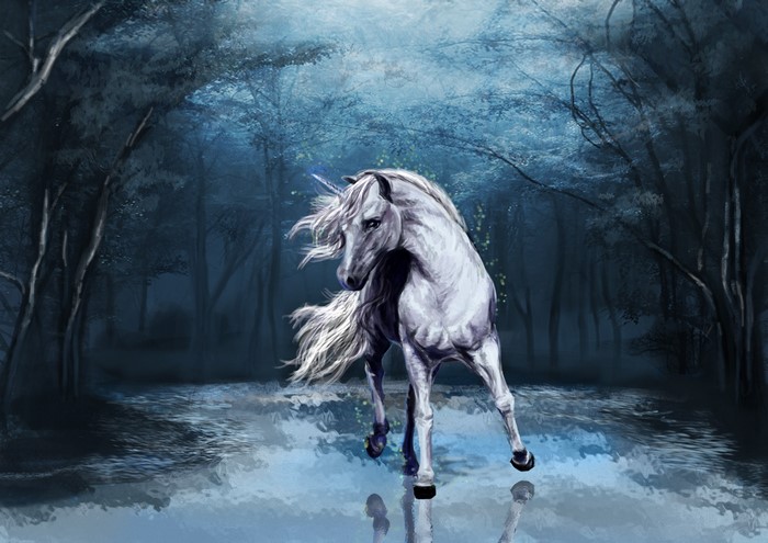 Unicorns, Magical animals, Forests, Horses, HD Wallpaper | Rare Gallery