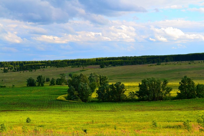 Scenery Fields Sky Trees