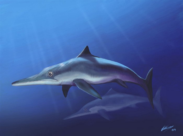 Ancient animals Underwater Ancient animals