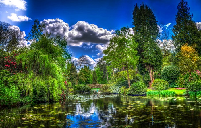 Tatton Hall England Parks Pond Trees Shrubs Clouds