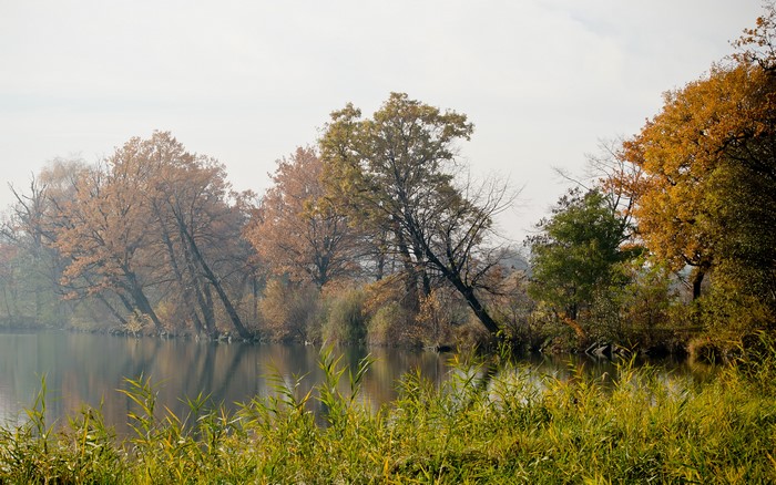 Autumn trees reflected in a calm river