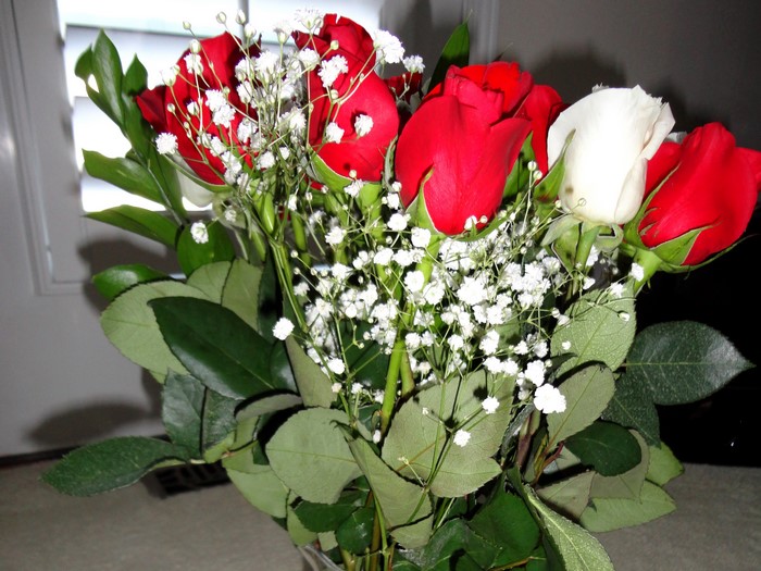 Bouquet of Red and White Roses with Baby's Breath