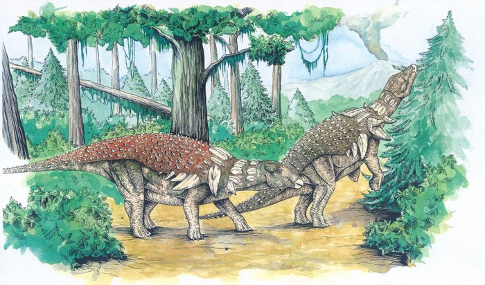 Two Ankylosaurus dinosaurs in a prehistoric forest
